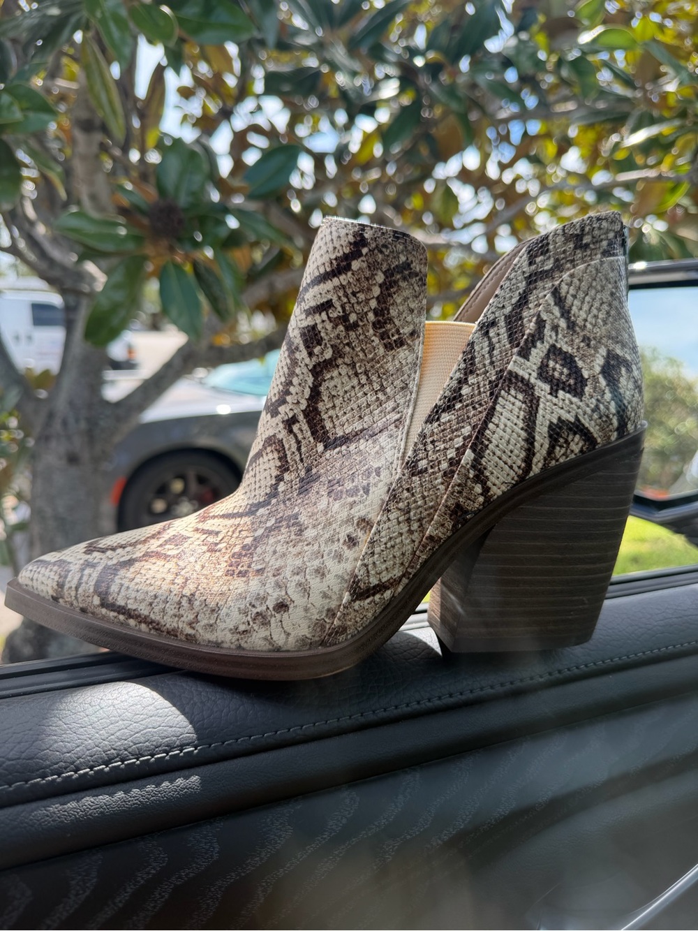 Vince Camuto Snake-Print Ankle Booties in Beige and Brown